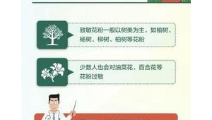 春季花粉过敏高发期防护指南  第1张