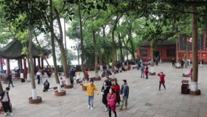 清明假期健康指南：重点预防六大方面  第1张