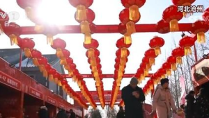 欢欢喜喜过大年沈阳百年祝家大集年货节热闹开场  第1张