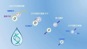 重离子治癌中国科学家领衔揭示微观机理  第1张