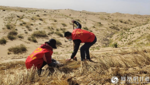 挺进沙海鏖战不停歇万亩沙漠变良田  第1张