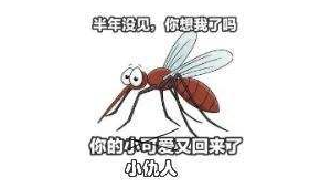 老板一夜血亏多万竟因灭蚊惹祸  第1张