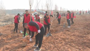 植树热潮席卷齐鲁大地披上新绿装  第1张