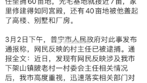 河南武陟县通报村庄亩麦苗被铲除事件  第1张