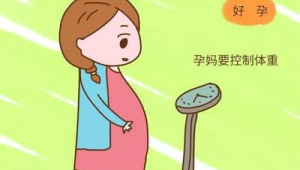 一天中四个易发胖时段的科学饮食指南  第1张