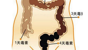肠道健康看排便时间  第1张