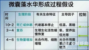 "代谢休眠才是你瘦不下来的隐形杀手"  第1张