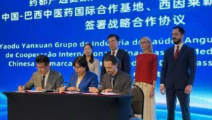 千年药都安国开拓南美市场助推中医药走向世界  第1张